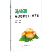 �R����M�����B(y��ng)�c���S������