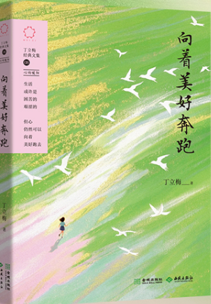 �������ñ���