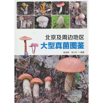  ��������߅�؅^(q��)��������D�b