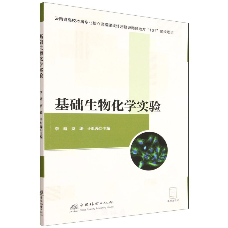 ���A���ﻯ�W���(���ΑB(t��i)�̲�)