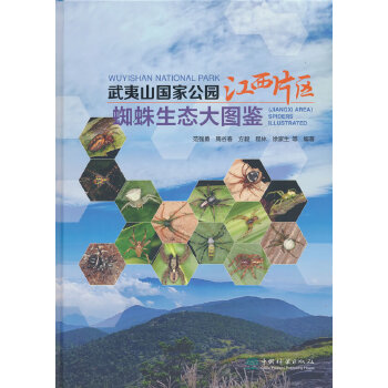  ����ɽ��(gu��)�ҹ��@����Ƭ�^(q��)֩�����B(t��i)��D�b