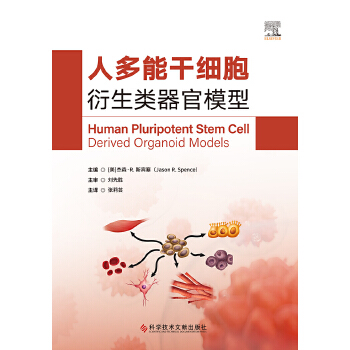 �˶��ܸɼ������������ģ��