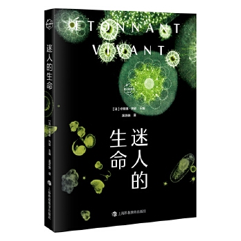 ���˵�����