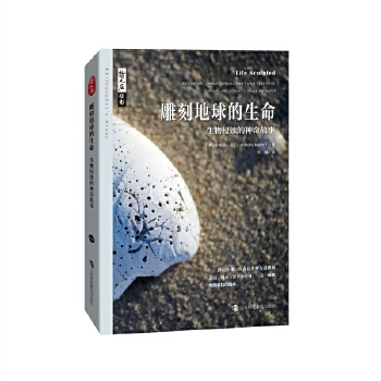  ����ʯ��������̵�����������������g���������