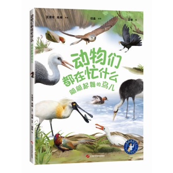  ��(d��ng)�����æʲô������������B��