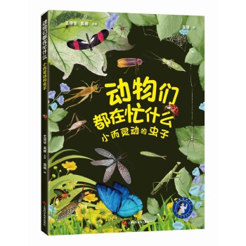  �������æʲô��С���`�ӵ��x��