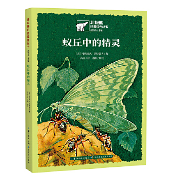 ρ���еľ��`