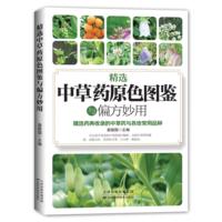 ���x�в�ˎԭɫ�D�b�cƫ������