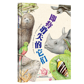 ������ʧ������