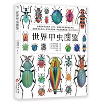 ������x�D�b