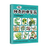 �ۣ�������в�ˎ