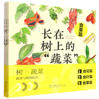 �L(zh��ng)�ژ��ϵ��߲�