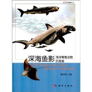 ����׵��(d��ng)��ĊW��