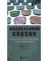 �~�����ˮ�����：�������b��ָ�� 