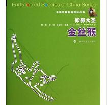 ���Ǵ�ʥ--��z��