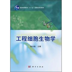 ���̼�������W