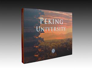 ���M����