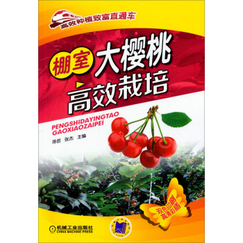 ���Ҵ���Ҹ�Ч���� 