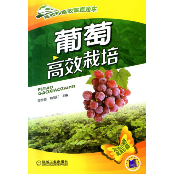 ��Ч�Nֲ�¸�ֱͨ܇�����Ѹ�Ч���� 