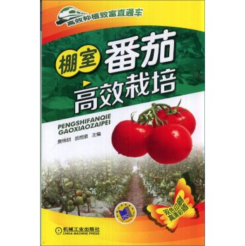 ���ҷ��Ѹ�Ч���� 