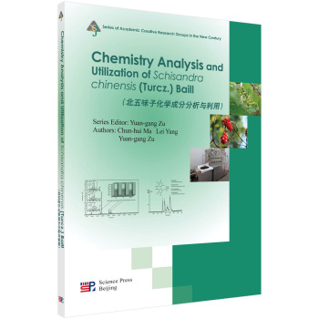 ����ζ�ӻ��W�ɷַ��������ã�Ӣ�İ棩