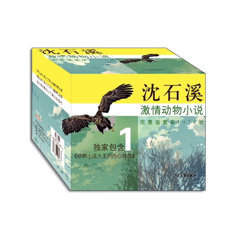 ��ʯϪ�������С�f(ȫ11��,�Y���b��