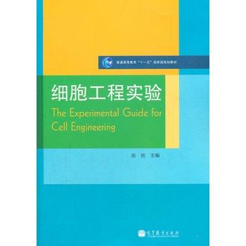 ��(x��)�����̌�(sh��)�(y��n)