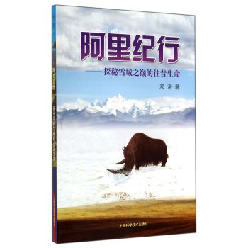 ����o(j��)��