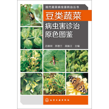 ����߲˲��x���\��ԭɫ�D�b