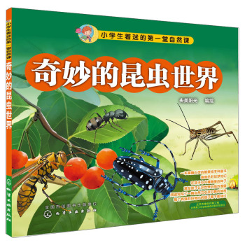 ��������x����