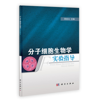 ���Ӽ�������W���ָ��