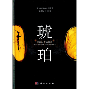 ���ꡪ����Խ�r(sh��)�յľ��`