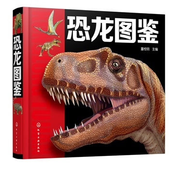 �����D�b