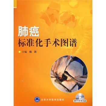 �ΰ��˜ʻ����g�D�V