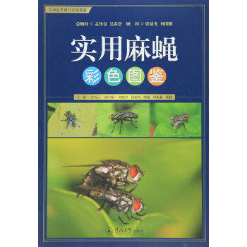 ��(sh��)����ω��ɫ�D�b