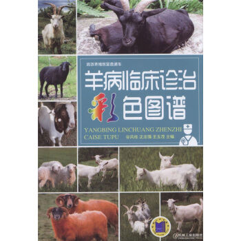 ���R���\�β�ɫ�D�V