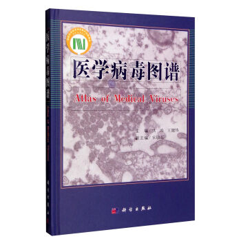 �t(y��)�W(xu��)�����D�V