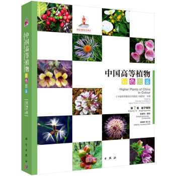 �Ї�(gu��)�ߵ�ֲ���ɫ�D�b  ���߾� ����ֲ�� �����ơ��տ�