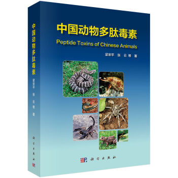 �Ї�������Ķ���