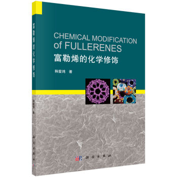 ����ϩ�Ļ��W(xu��)���Chemical Modification of fullerenes����Ӣ�İ棩