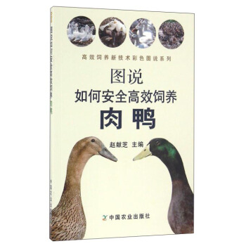 �D�f(shu��)��ΰ�ȫ��Ч��B(y��ng)����