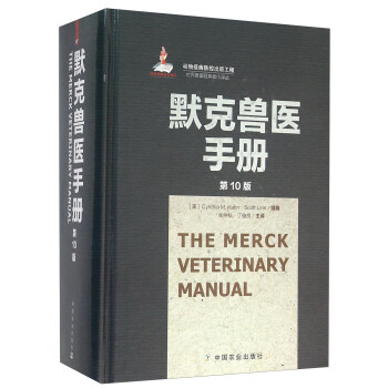 Ĭ�˫F�t(y��)�փ�  (��10��)