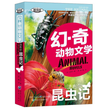 ���������xӛ