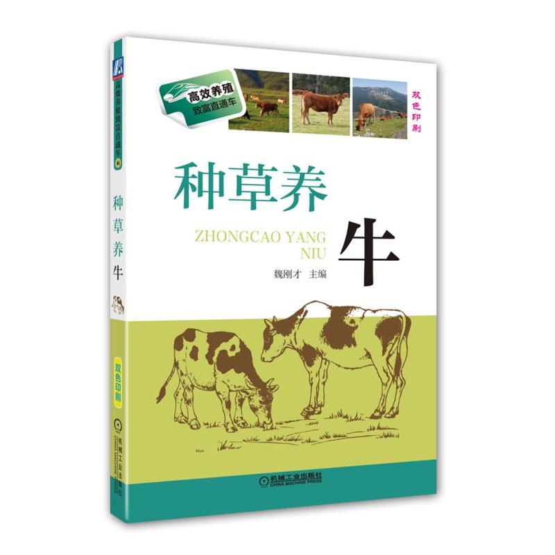 �N���B(y��ng)ţ