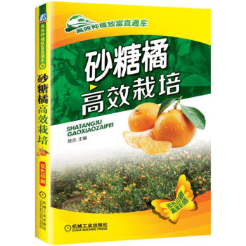 ɰ���ٸ�Ч����