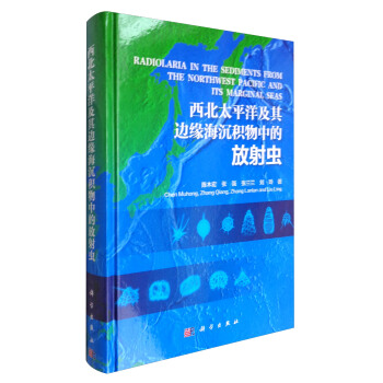 ����̫ƽ����߅�������e���еķ����x