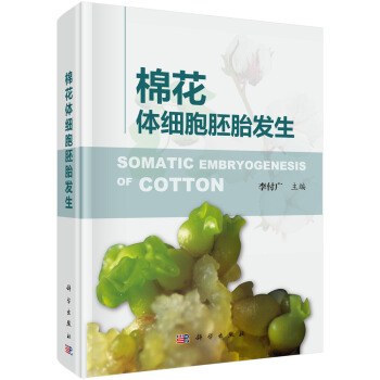 �޻��w��(x��)����̥�l(f��)��