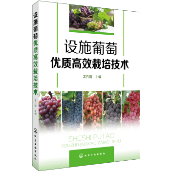 �O(sh��)ʩ���у�(y��u)�|(zh��)��Ч���༼�g(sh��)