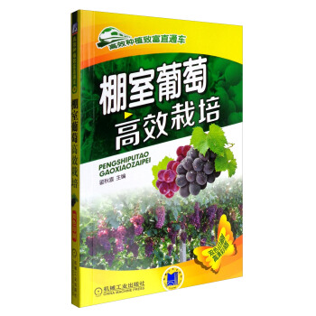 �������Ѹ�Ч����