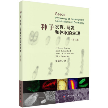 �N�ӣ��l(f��)�����Ȱl(f��)�����ߵ�����